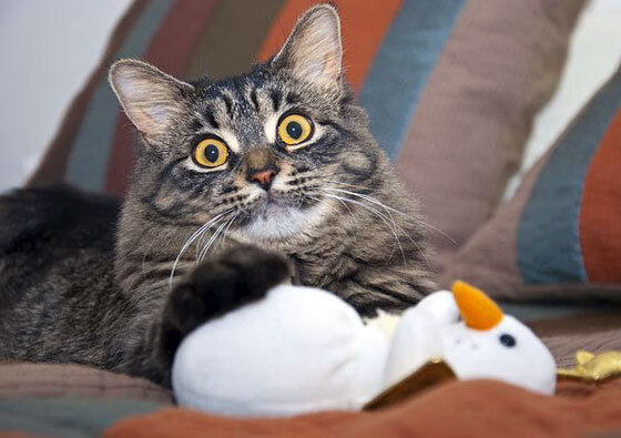 开云体育入口-双线争锋，莱比锡狂飙改写德甲剧本，尼克斯三分雨浇灭马刺