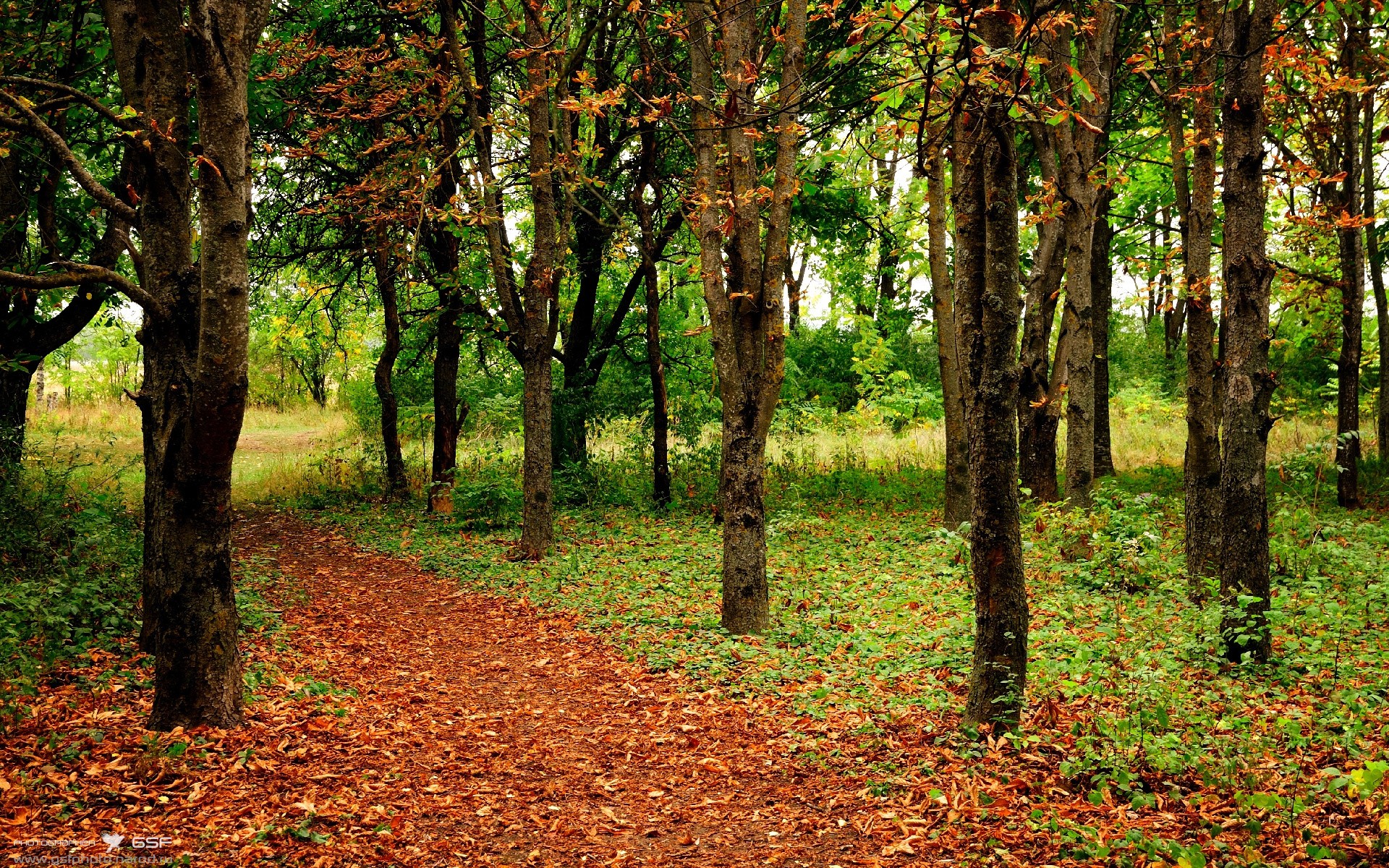 开云sport-超新星编号BRUNO-11，塞内加尔星云的史诗级复仇