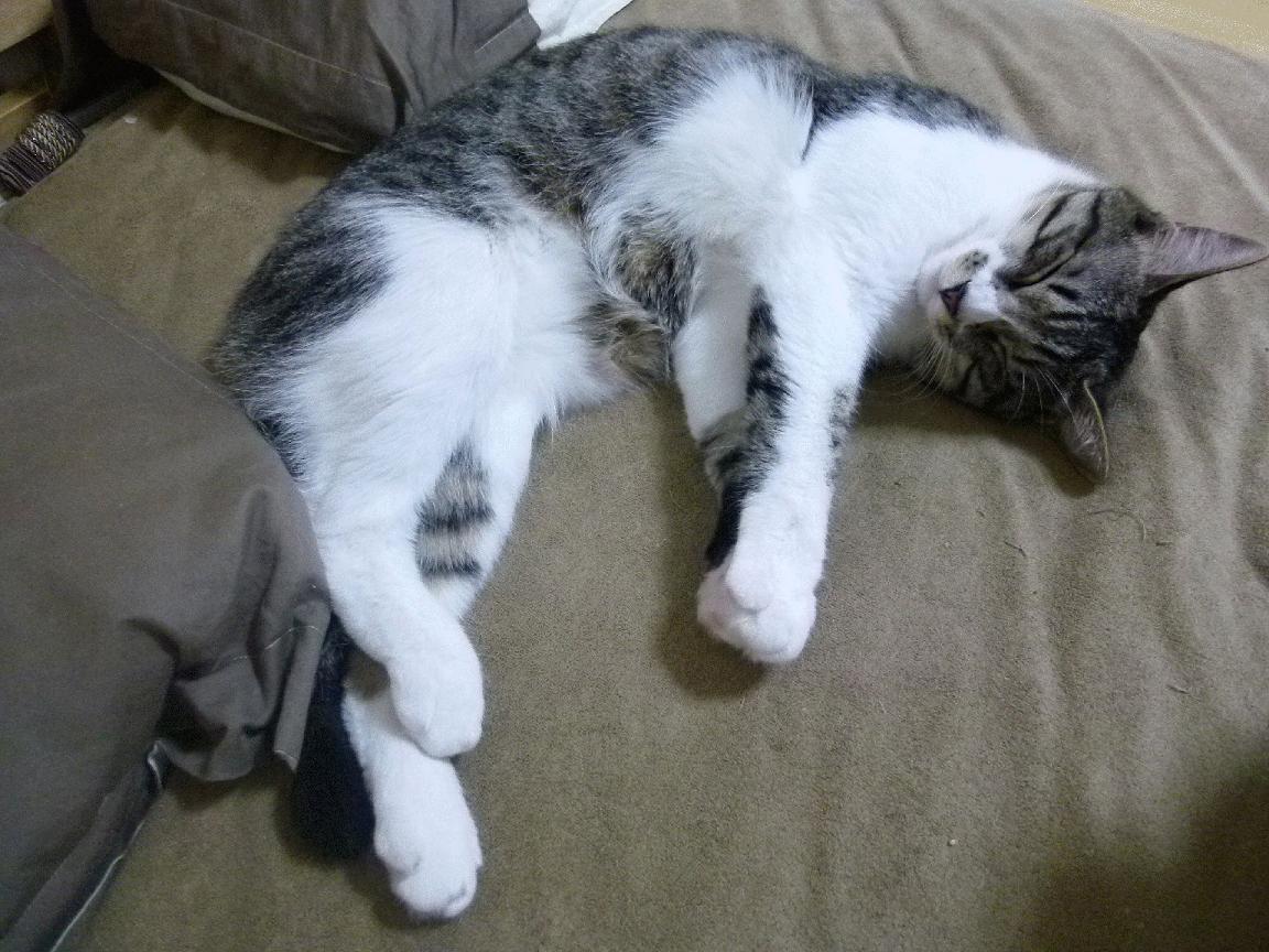 冰与火之歌，当伯纳乌遇见奥斯陆—一场关于足球的革命正在上演