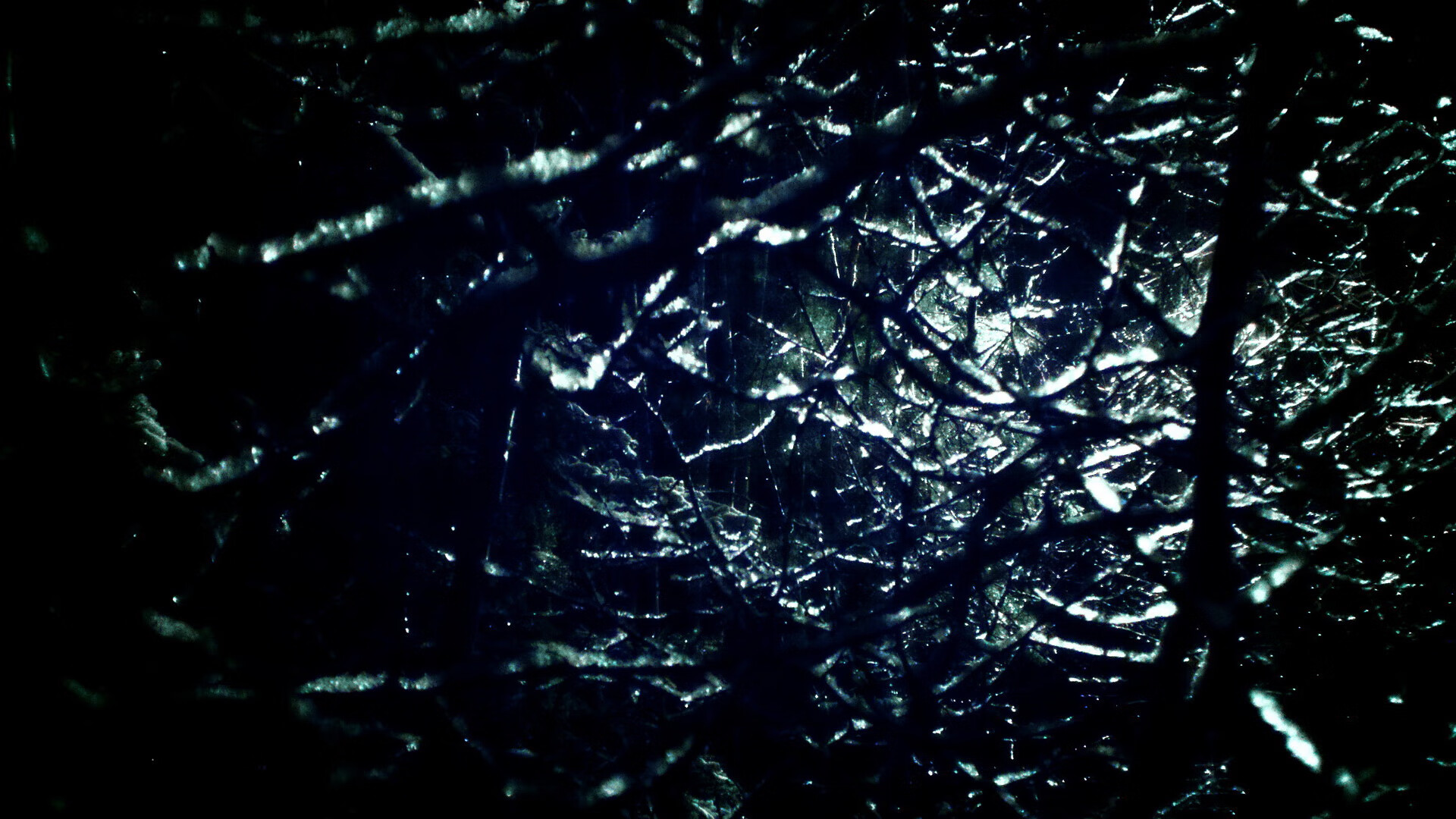 欧冠之夜，土耳其提前终结尤文悬念，维尼修斯化身关键先生