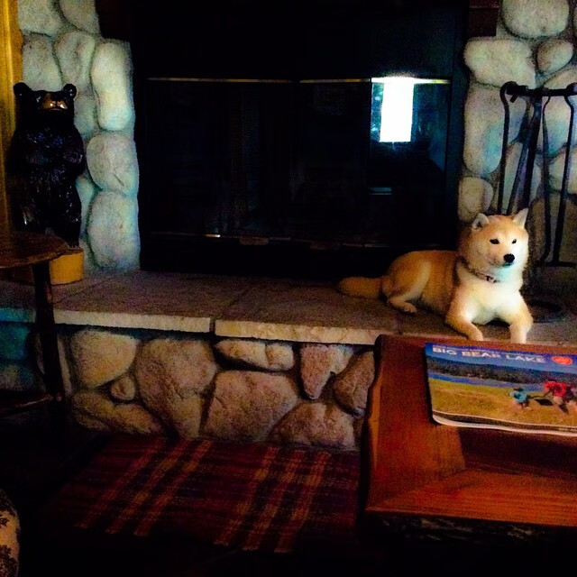 暗夜魔术师觉醒,贝恩撕裂华南虎不败金身