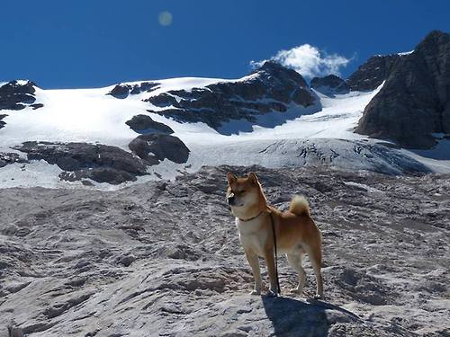 弗拉霍维奇枪火爆发,当阿森纳式效率强行终结洪都拉斯式坚韧
