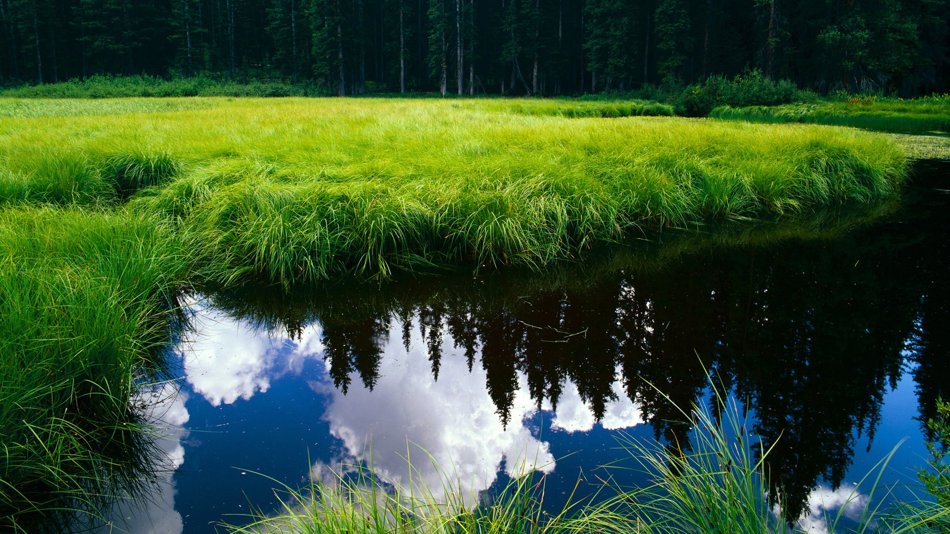 当神祇降临凡间，字母哥跨时空对决背后的托底王者法则