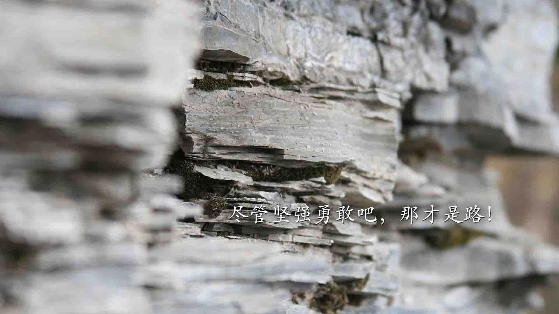 铁幕下的波斯闪电,苏亚雷斯叛逃记,伊朗在C组绞杀中击碎越南黄金梦