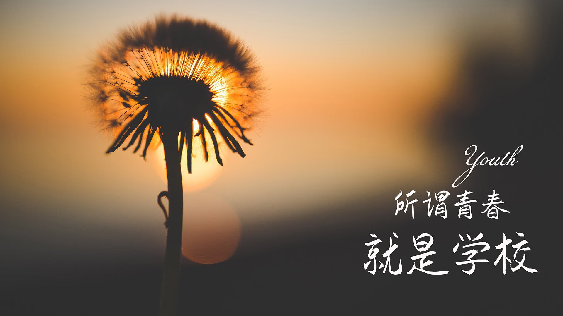 开云体育2026-以下是为您构思的标题与文章