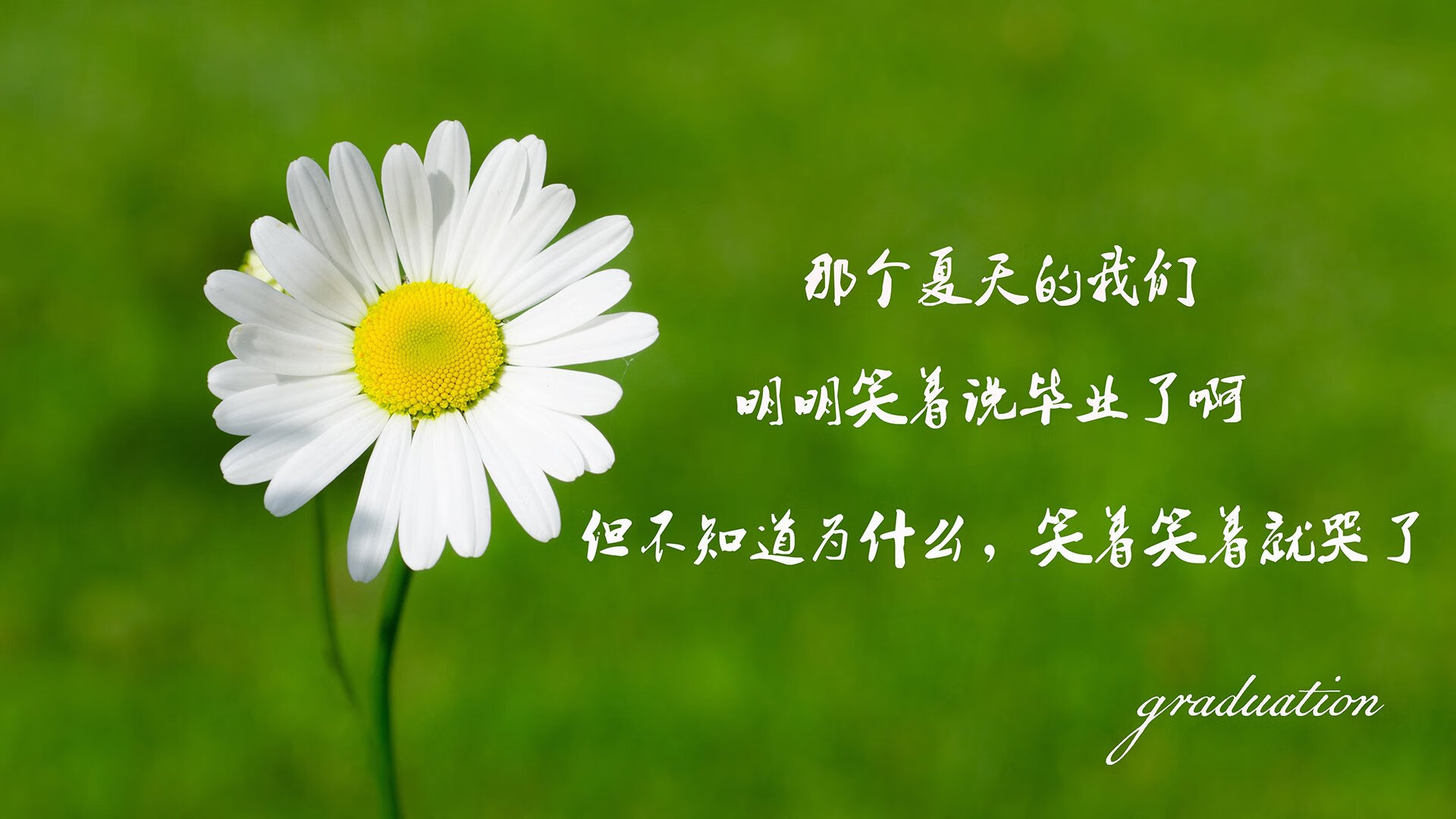 开云体育官网-当桑托斯的少年刺穿柏林墙，2026世界杯C组，记一次发生在黄昏的神谕与一击