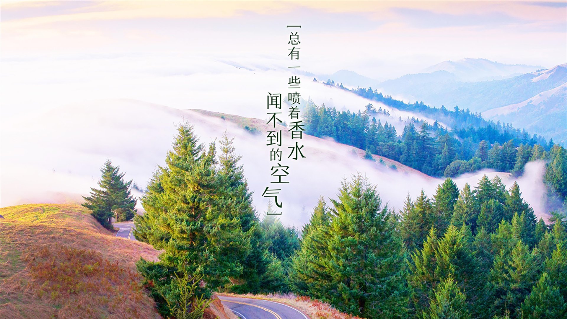 开云体育官网-[狂想2026]修车工干翻斗牛士，F组暗夜神迹，伊拉克的反现代足球起义