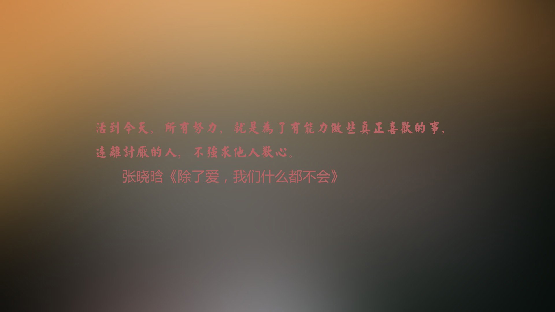 选项