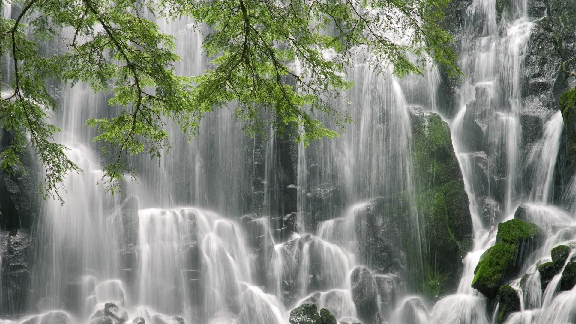 第一步,扩展思维的文章标题