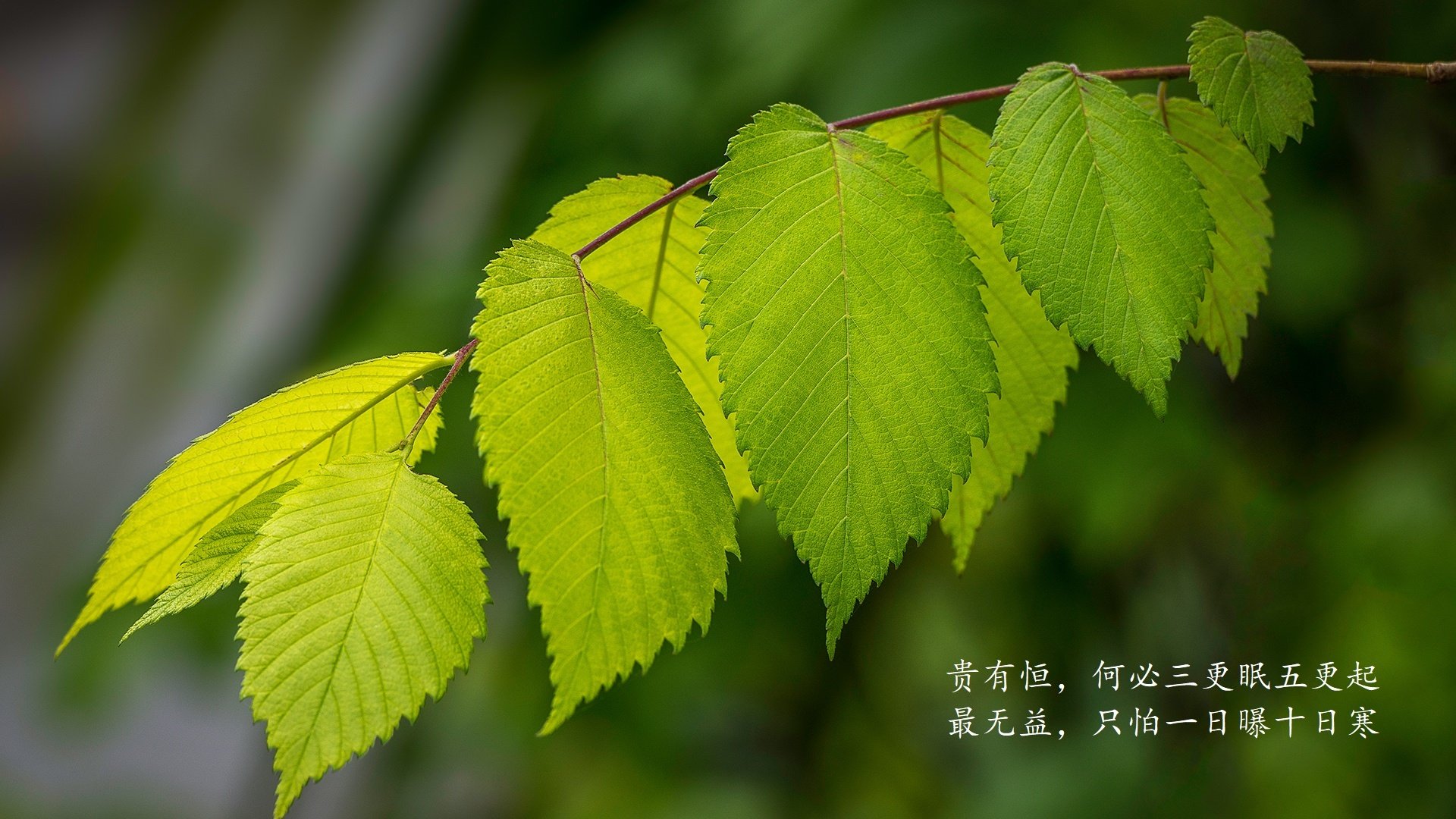 首先,为你构思并扩展一个富有画面感和命运感的标题